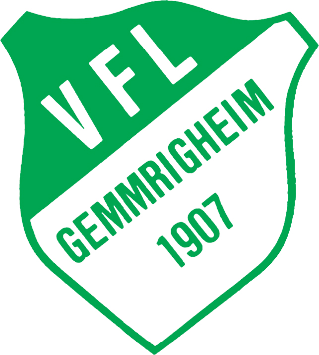 LOGO VfL