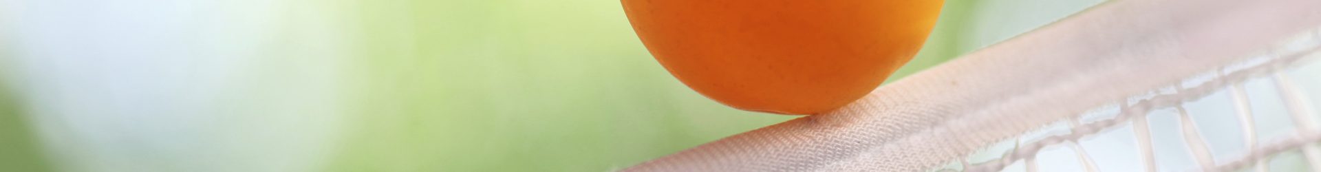 Einladung zum offenen Tischtennisturnier am 22. Juni 2024