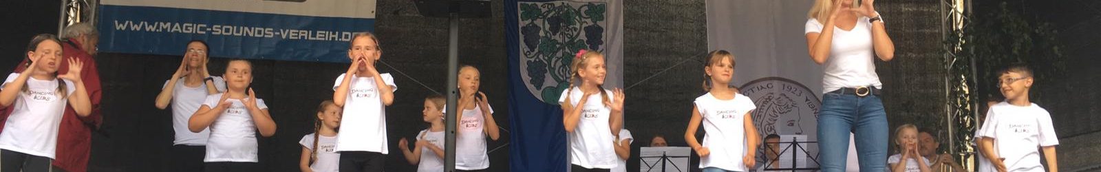 Nachtrag zum Gemmrigheimer Fleckenfest