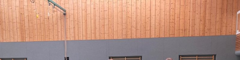 Weiterhin kein Sieg im Badminton
