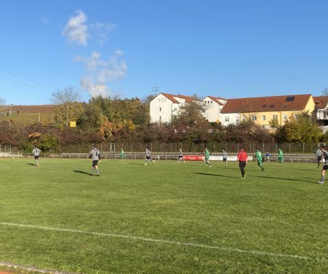 <strong>VfL-Fußballer bezwingen Spvgg Bissingen II mit 6:1</strong>