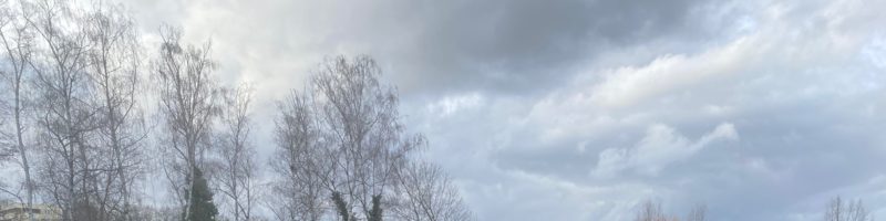 VfL-Fußballer siegen nach turbulenter Schlussphase