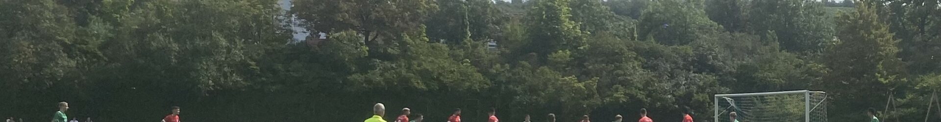 VfL-Fußballer unterliegen im Bezirkspokal gegen Bönnigheim