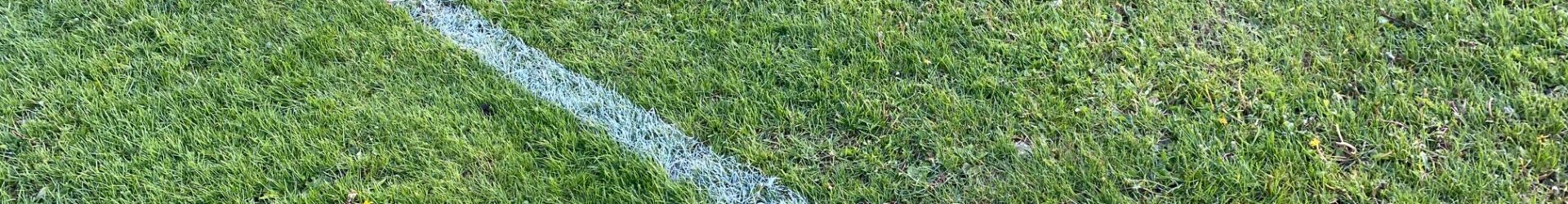 VfL-Fußballer empfangen Markgröningen zum Nachholspiel