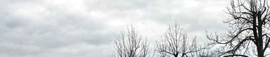 SGM-Fußballer siegen im Derby gegen Ottmarsheim mit 2:1