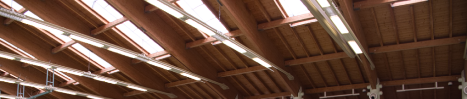 Leichtathletik: Vereins-Schülermeisterschaften 2026